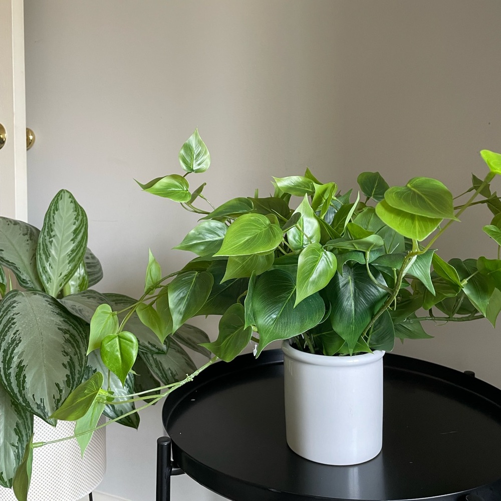 Threshold Faux Potted Plant